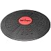 Balance Board Kreisel Reha Therapie Wackel Brett 41cm