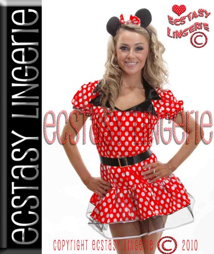 Minnie Mouse Costume Size 8 - 10 