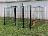 DOG KENNEL PLATINUM SERIES 10 X 10 HEAVY DUTY