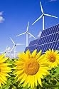 Wind Turbines and Solar Panels on Sunflowers Field - 36"H x 24"W - Peel and Stick Wall Decal by Wallmonkeys