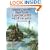 Drawing and Painting Fantasy Landscapes and Cityscapes