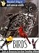 North american wildlife: birds field guide (North American Wildlife)