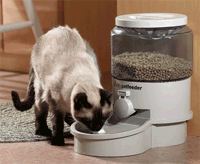 Ergo Auto Pet Feeder, Small