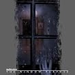 Window Purpose