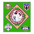 Negro BB League Museum 100% Cotton Afghan