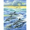 Junior Paint by Numbers Dolphin