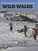 Wild Walks: Mountain, Moorland and Coastal Walks in Britain and Ireland