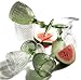 Kitchen & Housewares : Pinzon Diamond-Point Glasses, Set of 8