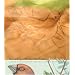Knowledge, Forms, the Aviary (Sawtooth Poetry Prize Series 2005)