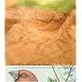 Knowledge, Forms, the Aviary (Sawtooth Poetry Prize Series 2005)