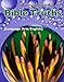 Encyclopedia of Bible Truths: Language Arts/English