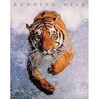 Running Wild (Tiger in Water) Art Poster Print - 16x20