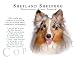 image 7 - Shetland Sheepdog MERLE Human Trainer Mouse Pad Dog