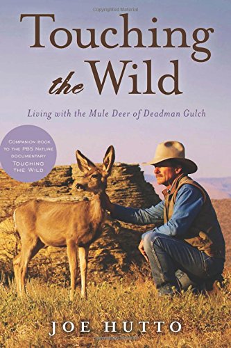 touching the wild living with the mule deer of deadman gulch