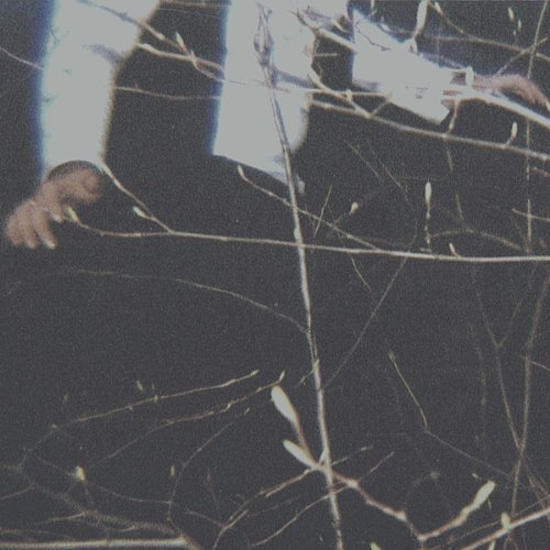 Cemeteries - The Wilderness - Zortam Music