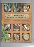 Collecting fossils : hold prehistory in the palm of your hand