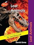 Lost animals