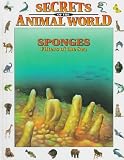 Sponges: Filters of the Sea (Secrets Animal World)