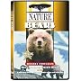 Nature: Bears