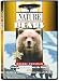 Nature: Bears