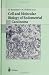 Cell and Molecular Biology of Endometrial Carcinoma