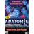 Anatomie