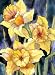 Mcgowan'S Tuftop Small Tempered Glass Board, Daffodils Design, 8-3/4-Inch by 11-Inch
