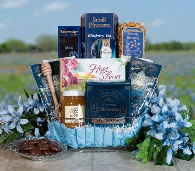 Get Well Blues Gourmet Food Gift Basket
