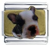 Boston Terrier Photo Italian Charms