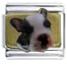 boston terrier - Boston Terrier Photo Italian Charms