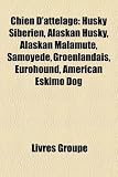 Chien D'Attelage: Husky Sibrien, Alaskan Husky, Alaskan Malamute, Samoyde, Groenlandais, Eurohound, American Eskimo Dog