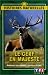 Le Cerf en majesté Le Cerf en majesté