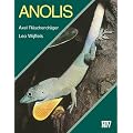 Anolis