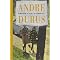 Exceptional Short Story Collections
