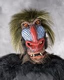 Costumes For All Occasions 7005BS Baboon Mask