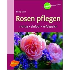 Rosen pflegen