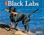 Just Black Labs
