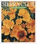 Cal 99 Sierra Club Wildflowers Calendar
