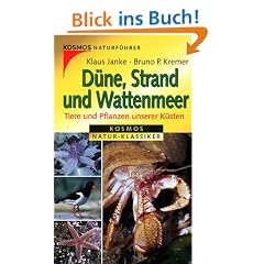 D�ne, Strand und Wattenmeer