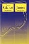 Vietnamese - English Book of James of the New Testament / Bilingual Booklet / Vietnamese "Easy-to-Read" Version, in parallel with the English NIV.