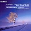 Vasks: Violin Concerto 'Distant Light', Musica Dolorosa, Viatore