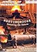 History of Westinghouse - An American Industrial Powerhouse DVD Image