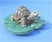 Turtle on Lily Pad