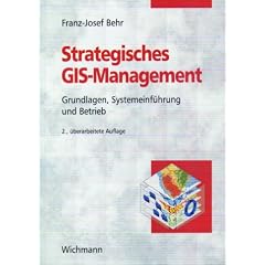 Strategisches GIS-Management. Grundlagen, Systemeinf�hrung und Betrieb