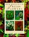 New Ways with Fresh Flowers: Fifty Inspirational Projects for Contemporary Floral Designers