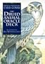 Druid Animal Oracle Deck