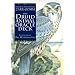 Druid Animal Oracle Deck