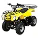 90cc ATV With Fully Automatic Clutch and Remote Control Stop!