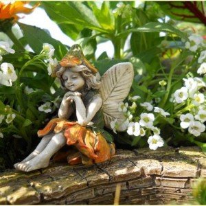 Fairy 