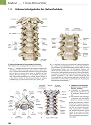 PROMETHEUS Lernatlas der Anatomie. Allgemeine Anatomie und Bewegungssystem